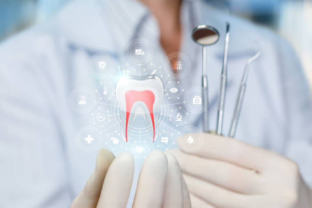 Best Preventive Dentistry  in Roscoe, IL